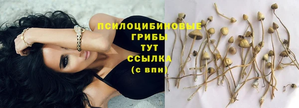 каннабис Сосновка