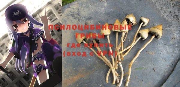 сатива Арсеньев