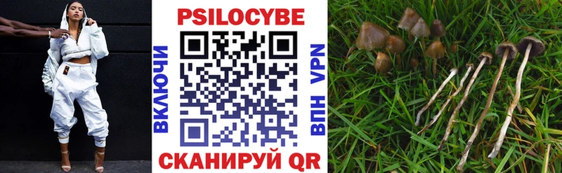 дарнет шоп  Старый Крым  Псилоцибиновые грибы Magic Shrooms 